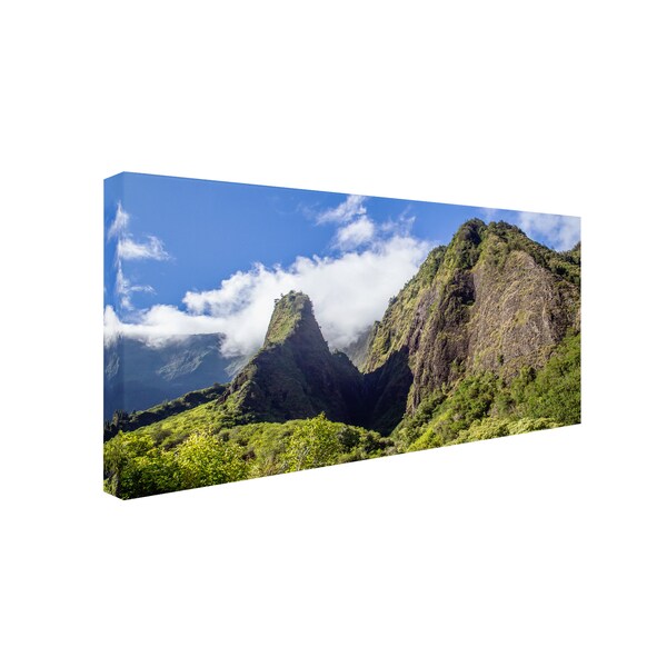 Pierre Leclerc 'Iao Valley' Canvas Art,12x24